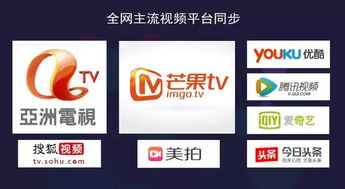 怎样做财经节目才能突破没人看的尴尬境地