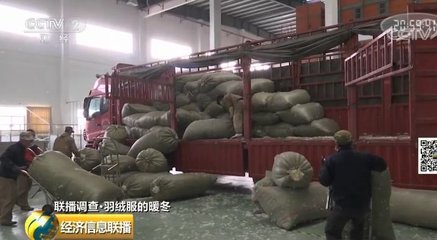 羽绒服迎“销售大年”，加工企业却直呼不赚钱 市场火、收益冷的怪圈与在线营销的机遇